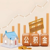 平顶山公积金代取指南：十大情况详解摘要。